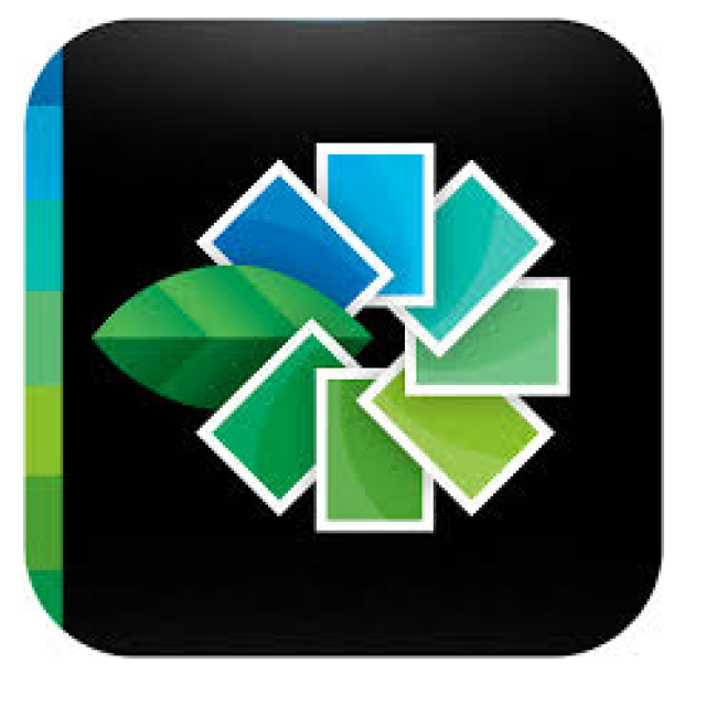 Google Snapseed Review: Photo Editing