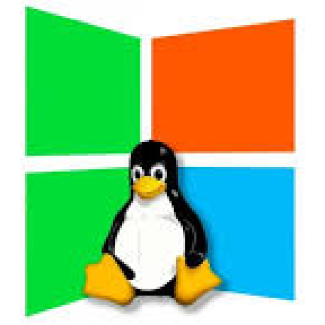 Logo Linux en logo Windows