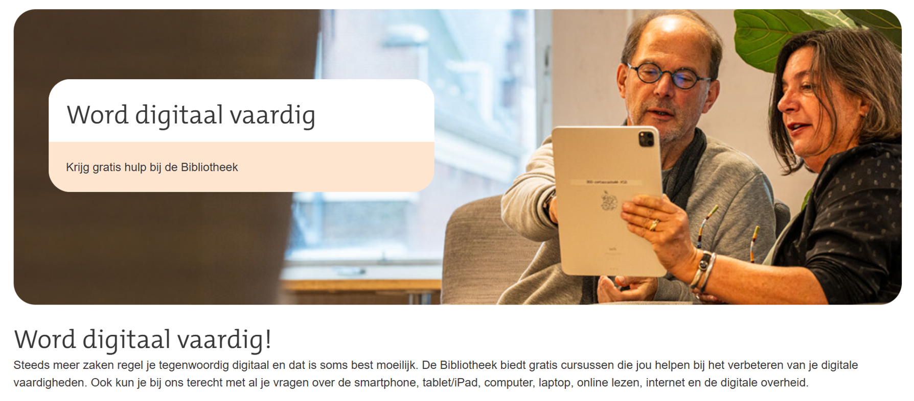 Column 150262 afbeelding 1