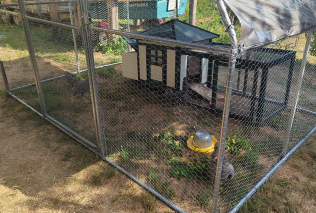 Column 150185 afbeelding 1