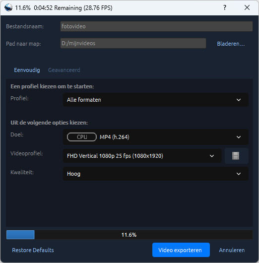 11 videoexport