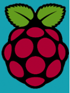 raspberrypi icon