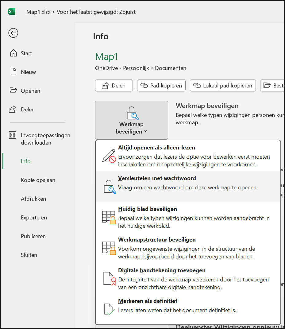 Beveiligingsopties Excelbestand 2
