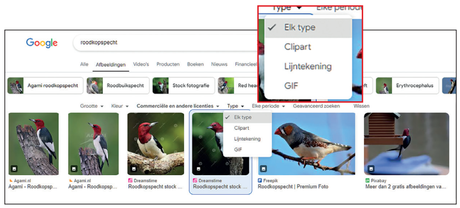 10 googleafbeeldingen 2