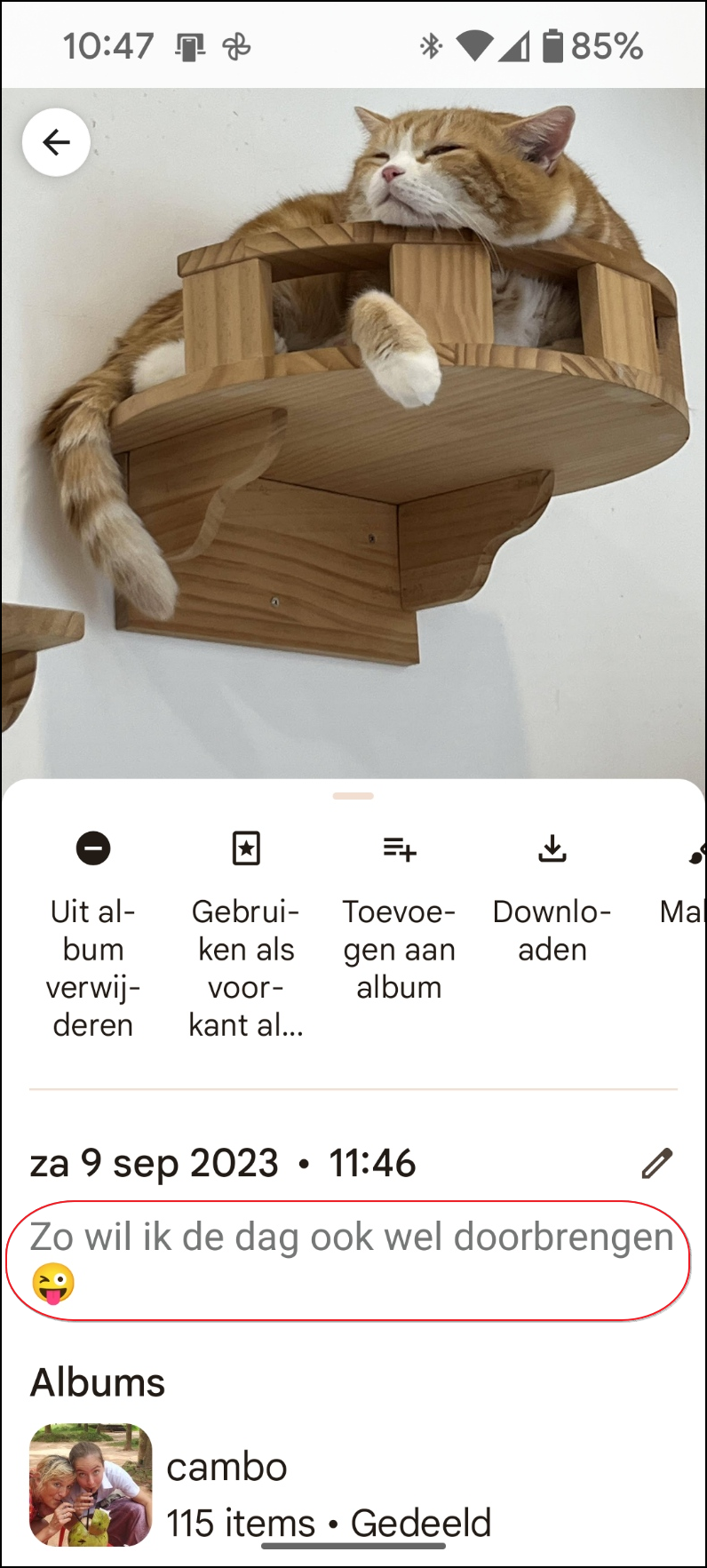 11 fotobijschrift bewerkt2