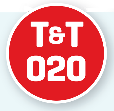 TT 020