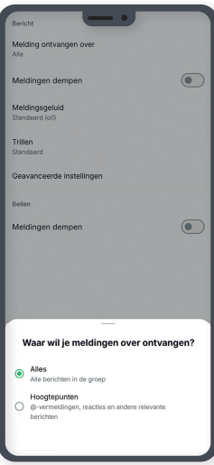 Meldingen beperken in groeps chats 2