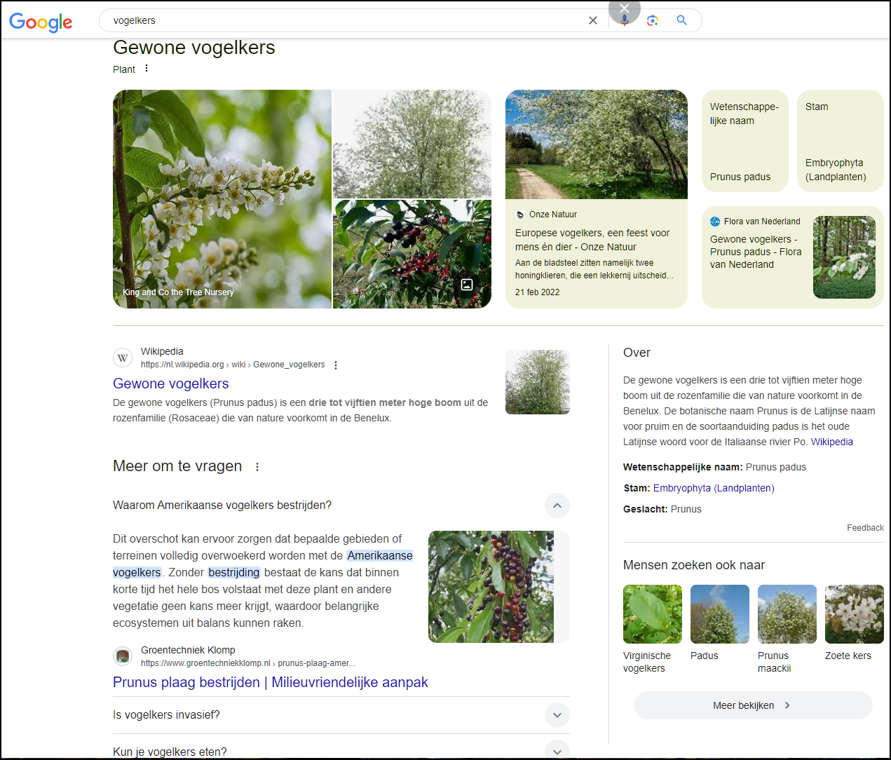 02 richcontentgoogle 2