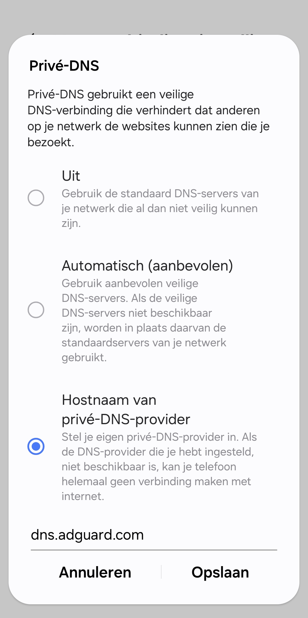 Privé DNS