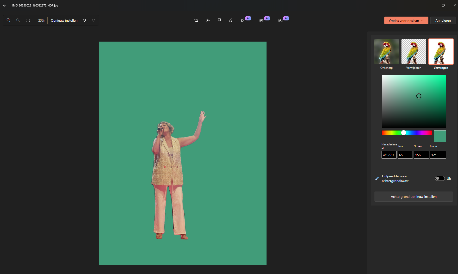 aifotobewerking3