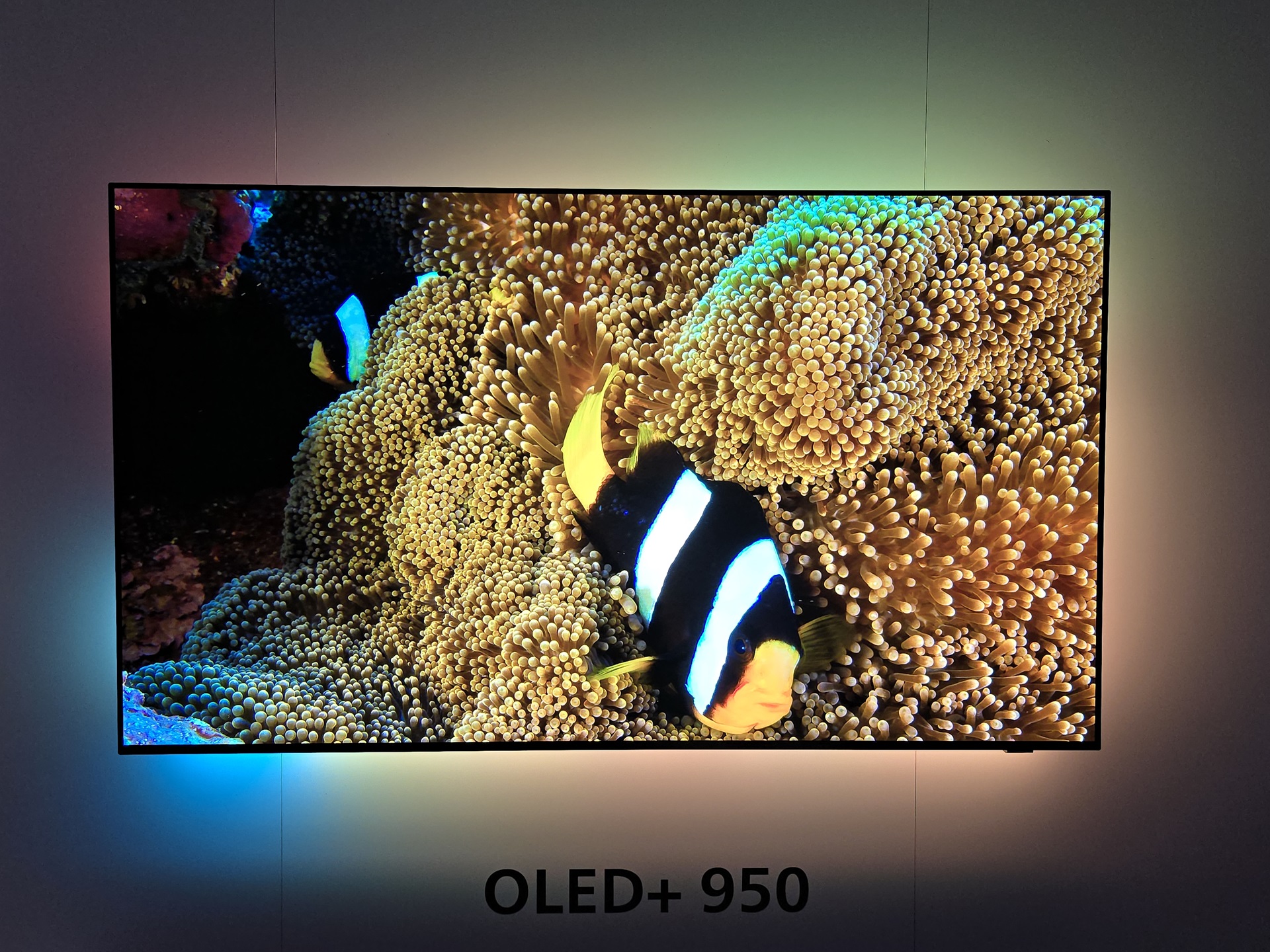 Philips OLED950 product