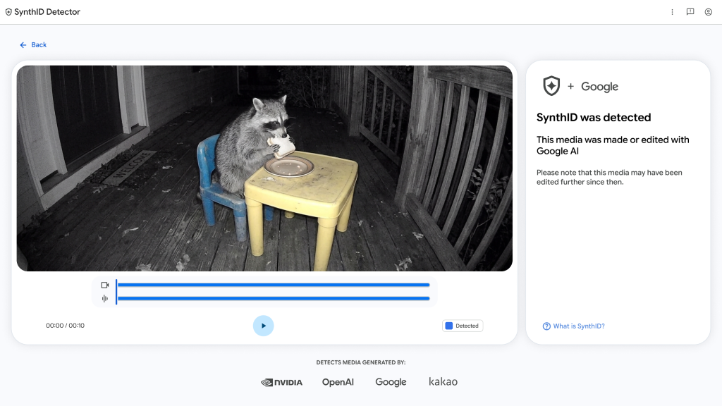 SynthID Detector Video Raccoon