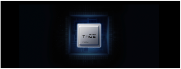 Thus AI chip